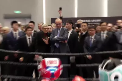 German Chancellor Merz Concludes China Visit with Robot Boxing Match
