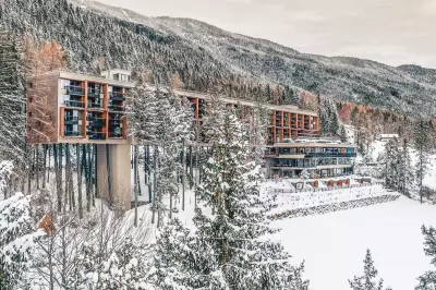 My Arbor: A Luxury Treehouse Wellness Retreat in the Italian Dolomites