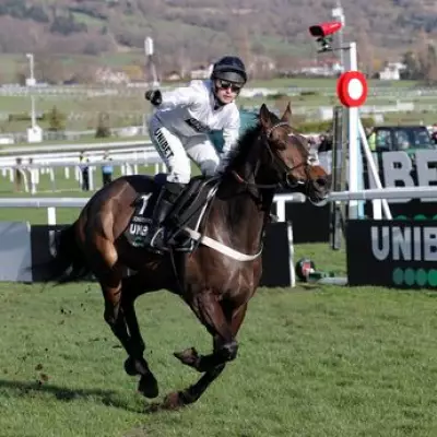 Nicky Henderson: I Would Have Quit Training If Constitution Hill Got Hurt