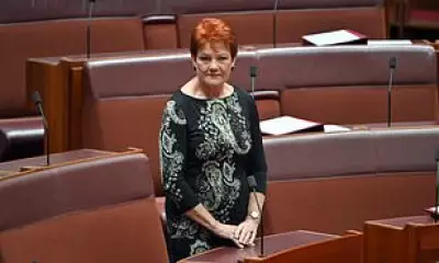 One Nation Surpasses Labor in NSW Popularity Poll, Liberals Trail