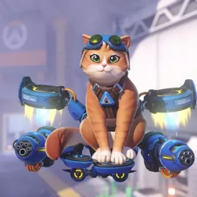 Overwatch Reboot Launches with Jetpack Cat Hero and Major Overhaul