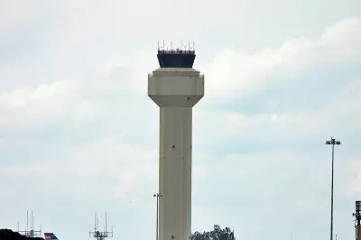 Private Jet Hits Multiple Deer on Takeoff, Forced into Emergency Landing in Florida