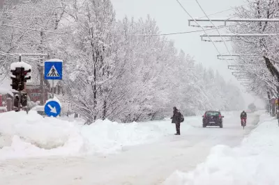Romanian Snowstorm Cuts Power to 200,000 Homes, Disrupts Transport Nationwide