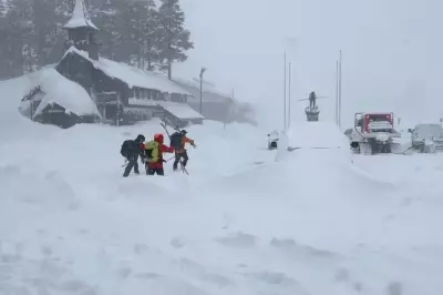 Six Rescued from Lake Tahoe Avalanche as Nine Remain Missing in California