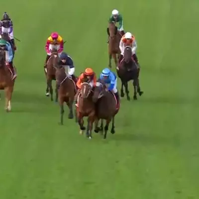 Top Jockey Luke Nolen Banned for 24 Days After Post-Race Bump and Altercation