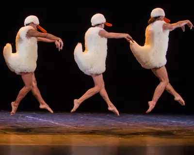 Tutu Review: Chicos Mambo's Ballet Parody Delivers Disco Swan Lake and Laughs