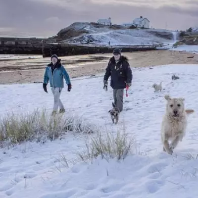 UK Braces for Two-Day Blizzard as Snow Maps Predict Widespread Disruption