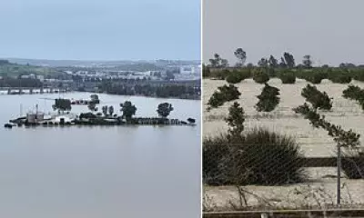 UK Supermarkets Face Fruit and Vegetable Shortages After Torrential Rains