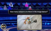 17 Contestants Stumped by Scissors Puzzle on The 1% Club