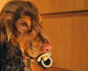 24 Photography Exhibition 2026 Showcases Stunning Visual Narratives