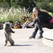 5 Feel-Good Films to Watch Solo on Valentine's Day for a Nostalgic Lift