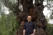 Adam Bandt's New Mission: Leading the Australian Conservation Foundation