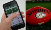 AFL Issues Gambling Warning After Audit Reveals Widespread Rule Breaches