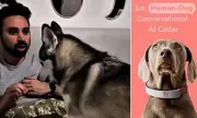 AI Dog Collar Claims to Translate Human Speech into Canine Barks