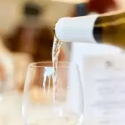 Aldi's Slimline Plastic Wine Bottles Spark Eco-Debate Among Shoppers