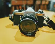 Analog Revival: Millennials Embrace Physical Media in a Digital World