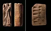 Ancient Bone Carvings Reveal 40,000-Year-Old Symbolic System