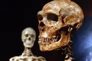 Ancient DNA Reveals Surprising Neanderthal-Human Mating Patterns