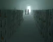 Antarctic Ice Sanctuary Cave Reveals Rapid Glacier Melting Secrets