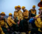 Award-Winning Photographer's Stark Warning as Pantanal Exhibition Opens in London