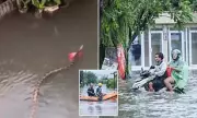 Bali's Tourist Hubs Submerged by Monsoon Floods and Snake Sightings