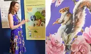 Baroness Sparks Outrage Wearing Grey Squirrel Dress at Red Squirrel Conference