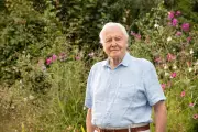 BBC Announces Three New Shows for David Attenborough's 100th Birthday Celebration