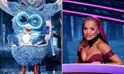 Billy Ray Cyrus Unmasked as Owl on The Masked Singer's Twilight Night