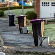 Binmen Warn: Cat Litter in Food Waste Bins Leads to Refused Collections