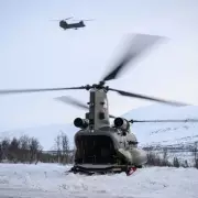 Boris Johnson's Ukraine Troop Proposal Criticised as Premature and Risky