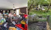 Brisbane Hoarder House Sells for $1.28M Despite Being Uninspectable