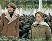 Bud Cort, Iconic Star of Cult Classic Harold and Maude, Dies at Age 77
