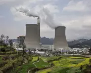 Businesses Face Collapse Unless They Protect Nature, Major Report Warns