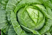 Cabbage Core: The Unlikely Vegetable Trend That's Here to Stay
