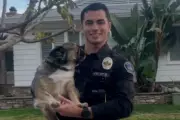 California Police Officer's Viral Dog Photo Sparks Social Media Frenzy