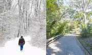 California Walker Dies on Icy Maryland Trail Amid Brutal Cold Snap