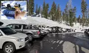 California's Alpine County Residents Feel 'Held Hostage' by Snow Tourist Chaos
