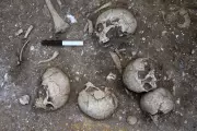 Cambridge Archaeology Students Unearth Possible 9th Century Execution Pit