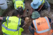Cambridge Students Unearth 9th Century Execution Pit with Viking-Era Remains
