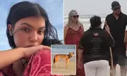 Canadian Teen's Parents Arrive in Australia After Dingo Tragedy on K'gari