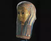 Cat Burglar Apprehended Following Queensland Museum's Egyptian Artefacts Heist