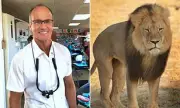 Cecil the Lion's Legacy: Trophy Hunting Exposed in New Documentary
