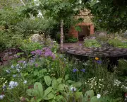 Chelsea Flower Show Seeks New Charity Sponsors After Mystery Donors End Support