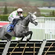 Cheltenham Board Member Demands End to Mares' Hurdle 'Cop Out'