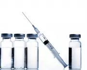 Children's Commissioner Demands Action on Harmful Online Ads Targeting Teens