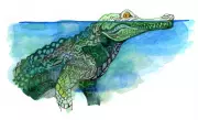 Children's Quiz: How Long Can Crocodiles Hold Their Breath Underwater?