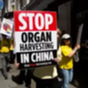 China's Organ Harvesting Crisis: Survivors Detail 'Killed to Order' Operations