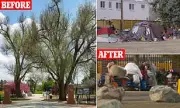 Colorado Suburb's Descent into 'Nightmare' as Homeless Crisis Overwhelms Park