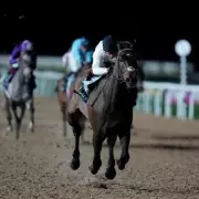 Constitution Hill Owner Targets Melbourne Cup 2026 After Flat Debut Triumph