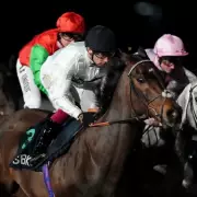 Constitution Hill Triumphs at Southwell, Cheltenham Odds Firm